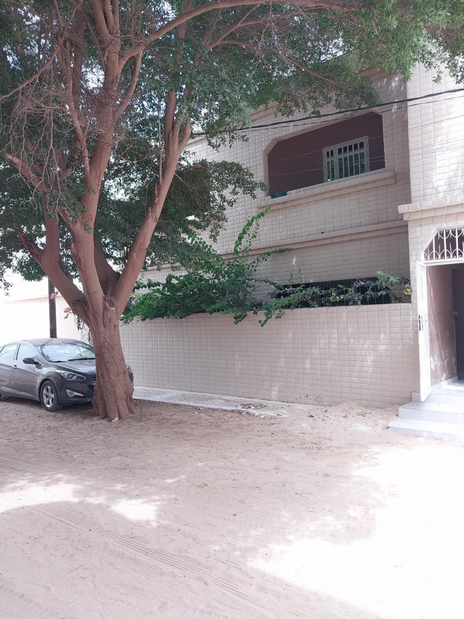 Chez Ousmane Fall Asecna Saint-Louis Zewnętrze zdjęcie